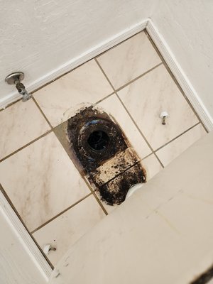 Toilet Flange Repair With Tile Repair and Leveling - City To Desert Services Is Top Dollar Quality For Affordable Prices. We Have Over A Decade's Worth Of Experience. Toilet Flange Repair With Tile Repair and Leveling - City To Desert Services Is Top Dollar Quality For Affordable Prices. We Have Over A Decade's Worth Of Experience.