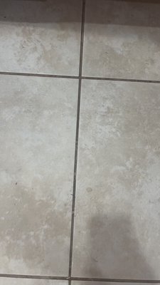 Kitchen tile and grout cleaning - High traffic areas like kitchens collect grease, dirt and grime in grout lines. We deep cleaned and extracted the buildup leaving the tile cleaner, brighter, and healthier for the home.