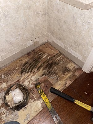 Funky smelling lingering around? - Wood Floor Water Damage & Repair - Water damage to a wood floor gone unfixed. Water was leaking from underneath the toilet at the wax ring, soaking up into the wood floor, and forgotten about. Eventually the customer noticed a funky smell lingering in the downstairs and called the pros. We identified the smell to the toilet room, and found moisture around the base of the toilet in the wood flooring. Once damaged material was removed we identified microbial growth, the area was remediated, dried out, and restored back to before damaged state. We are a complete damage restoration service, Big or small, give us a call! Funky smelling lingering around? - Wood Floor Water Damage & Repair - Water damage to a wood floor gone unfixed. Water was leaking from underneath the toilet at the wax ring, soaking up into the wood floor, and forgotten about. Eventually the customer noticed a funky smell lingering in the downstairs and called the pros. We identified the smell to the toilet room, and found moisture around the base of the toilet in the wood flooring. Once damaged material was removed we identified microbial growth, the area was remediated, dried out, and restored back to before damaged state. We are a complete damage restoration service, Big or small, give us a call!