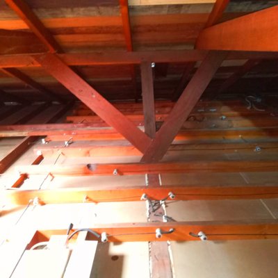 Rodent proofing - Rodent proofing in attics and all around the house