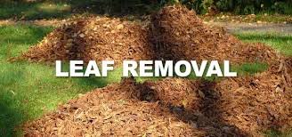 Leaf Removal and Mulching Services - From precise edging and leaf removal to expert mowing, mulching, and weeding—we bring your outdoor vision to life. No matter the service you need, we deliver beauty, care, and perfection to every corner of your landscape. Choose Genova Landscape for a yard that truly stands out!"