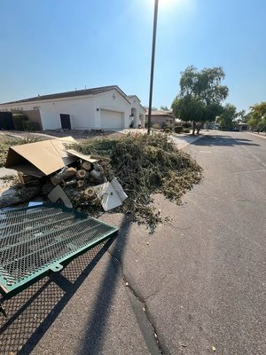 TREE DEBRIS REMOVED - These clients had cut down a tree and left it by the side of the street, hoping the city would pick it up, but that never happened. Later, they called me, and we agreed on a price to remove all the debris, preventing a potential fine. That’s how all this waste was cleared from the street. Additionally, I blew the entire area to ensure everything was completely clean and to achieve a better result. TREE DEBRIS REMOVED - These clients had cut down a tree and left it by the side of the street, hoping the city would pick it up, but that never happened. Later, they called me, and we agreed on a price to remove all the debris, preventing a potential fine. That’s how all this waste was cleared from the street. Additionally, I blew the entire area to ensure everything was completely clean and to achieve a better result.