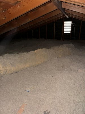 Before Attic Cleaning - The condition of your attic determines the health of your home. If an attic is filled with rodent droppings and urine, it will keep attracting rodent. If it is not properly air sealed, you are breathing in what is up there and losing energy (and money) fast.