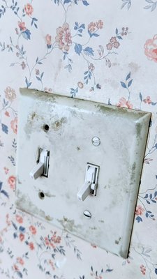 Common Area cleanings! - Come look! Common Area cleanings! - Come look!