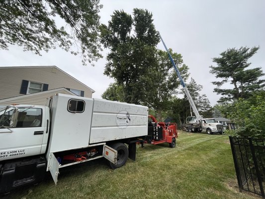 Two Large Oak Removals - Oak-y Dokey! 🌳💪

Big job removing these two massive oak trees. Our team worked diligently to ensure a safe and efficient removal process.

Oak trees can be quite challenging, but with our expertise and specialized equipment, we handled it like pros.

Need tree removal services? We're your go-to team!


🌳 Tree Lion LLC 🌳
       Tree Service

Phone: (267) 327-4033
E-Mail: treelionllc@gmail.com
www.treeliontreeservice.com