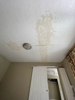 ceiling repair - water had gone through and ruined the sheetrock so I went in and replaced the old sheetrock and added the texture. this customer decided to paint it himself.