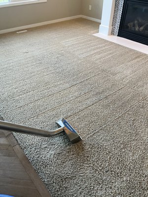 High traffic area stain removal - This is the livingroom in a rental property that has massive black mark due to high traffic. We restored it! High traffic area stain removal - This is the livingroom in a rental property that has massive black mark due to high traffic. We restored it!