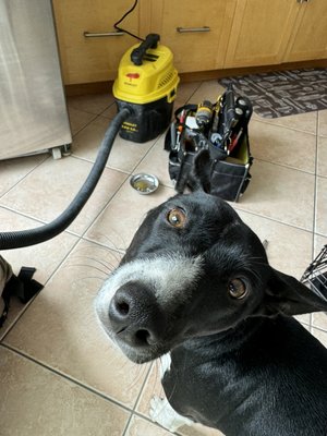 Our helpers - little helpers often help me in my work