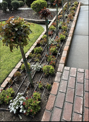 Irrigation - irrigation Irrigation - irrigation