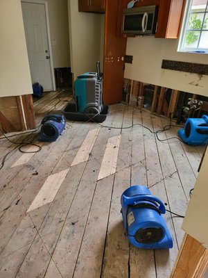 Water Damage Restoration - Expertly addressing all levels of water damage, from leaks to floods. We use state-of-the-art technology for water extraction, drying, and dehumidification, ensuring your property is restored to its pre-damage condition. Water Damage Restoration - Expertly addressing all levels of water damage, from leaks to floods. We use state-of-the-art technology for water extraction, drying, and dehumidification, ensuring your property is restored to its pre-damage condition.