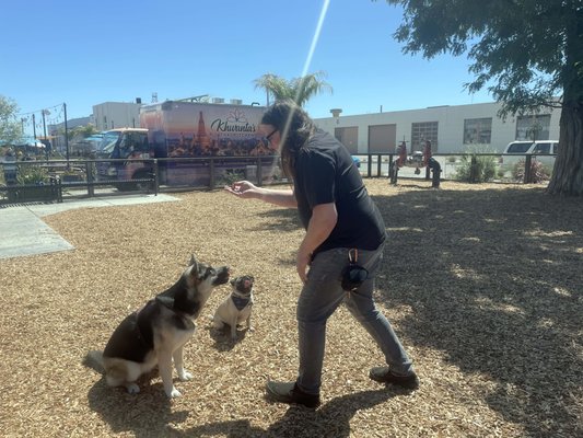 Behavior Assessment and Training - When working on complex behavior cases, we start with an in-person behavior consultation that may include multiple screening tools and observation. From there we create behavior assessments, vet and specialist referrals if needed, and a comprehensive training plan.