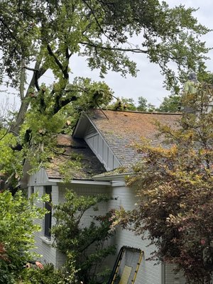 Tree Strike - This home was hit by a tree during a storm that hit DFW, RestoreNow was there to help them through mitigation, remediation for asbestos as well as fully rebuilding their beautiful home! RestoreNow is a full service restoration firm, from start to finish we are with you. Tree Strike - This home was hit by a tree during a storm that hit DFW, RestoreNow was there to help them through mitigation, remediation for asbestos as well as fully rebuilding their beautiful home! RestoreNow is a full service restoration firm, from start to finish we are with you.