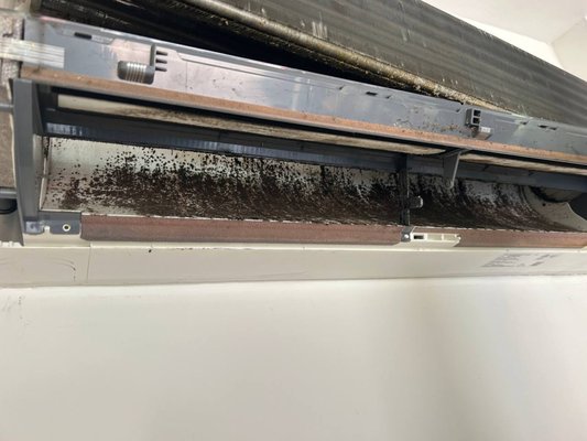 Your AC should NOT look like this 🤢 - Swipe to see the hidden buildup we found inside this system 😳

The blower wheel was completely clogged with dust, grime, and buildup. Air could barely move through the system, forcing the AC to work much harder than it should.

And in South Florida humidity… this kind of buildup can quickly affect your air quality and lead to bad smells, weak airflow, high power bills, and expensive breakdowns. 

Regular maintenance doesn’t cost you — it pays you.

📍Naples, FL  
📞 (239) 307-2959