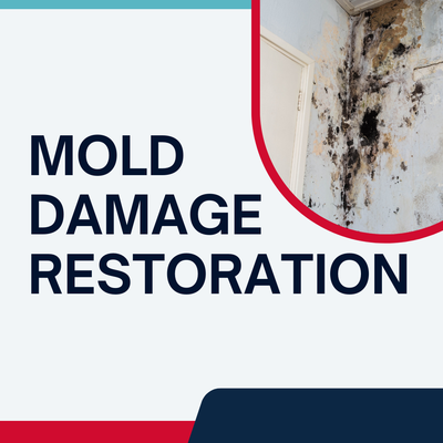 Mold Damage Restoration - Mold can spread quickly and quietly, posing serious health risks and structural damage if not addressed promptly. At Dry County Restoration, we offer fast, effective, and professional mold damage restoration services to help you regain a safe, healthy environment.
Our certified mold remediation specialists begin with a detailed inspection to identify the source and extent of the mold growth. Using industry-leading moisture detection tools and air quality testing, we create a customized plan to contain and eliminate the problem at its root.
We follow strict industry protocols to prevent cross-contamination during the removal process. Our team uses HEPA filtration, negative air pressure systems, and professional-grade antimicrobial treatments to safely remove mold from walls, ceilings, HVAC systems, and more. After removal, we thoroughly dry and treat affected areas to help prevent future growth. Mold Damage Restoration - Mold can spread quickly and quietly, posing serious health risks and structural damage if not addressed promptly. At Dry County Restoration, we offer fast, effective, and professional mold damage restoration services to help you regain a safe, healthy environment.
Our certified mold remediation specialists begin with a detailed inspection to identify the source and extent of the mold growth. Using industry-leading moisture detection tools and air quality testing, we create a customized plan to contain and eliminate the problem at its root.
We follow strict industry protocols to prevent cross-contamination during the removal process. Our team uses HEPA filtration, negative air pressure systems, and professional-grade antimicrobial treatments to safely remove mold from walls, ceilings, HVAC systems, and more. After removal, we thoroughly dry and treat affected areas to help prevent future growth.
