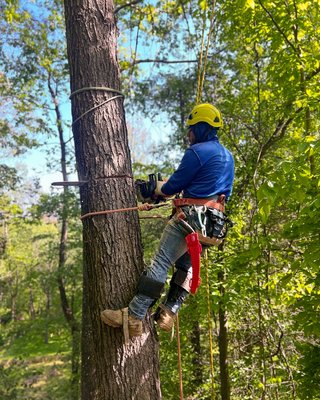 Expert Tree Care Services - We provide professional tree cutting, tree pruning, trimming, stump removal, brush removal, and complete tree care services. 🌳💪
Our experienced team is committed to safe, efficient, and reliable work, helping keep your property clean, protected, and looking its best. Expert Tree Care Services - We provide professional tree cutting, tree pruning, trimming, stump removal, brush removal, and complete tree care services. 🌳💪
Our experienced team is committed to safe, efficient, and reliable work, helping keep your property clean, protected, and looking its best.