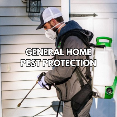 General Home Pest Protection - We provide general home pest protection services which includes spraying a barrier on the foundation, dusting windows & doors, applying granules to softer surfaces, and treating the inside if requested for more serious issues.  We are thorough and guarantee our results.