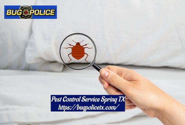 Insect Control - Having random insects in your home can be an unpleasant experience, especially if you’re terrified of bugs. Hire Bug Police now and permanently rid of the insects that dwell in some areas of your home before they lay eggs and multiply. We are a well-known local pest treatment service provider based in Spring, TX who provides nothing but reliable pest extermination services. You won’t have to worry anything about the bugs that are present in your home, our group of professional exterminators will make sure each area of your house is properly inspected and exterminated with any unwanted bug or pests that are present. Insect Control - Having random insects in your home can be an unpleasant experience, especially if you’re terrified of bugs. Hire Bug Police now and permanently rid of the insects that dwell in some areas of your home before they lay eggs and multiply. We are a well-known local pest treatment service provider based in Spring, TX who provides nothing but reliable pest extermination services. You won’t have to worry anything about the bugs that are present in your home, our group of professional exterminators will make sure each area of your house is properly inspected and exterminated with any unwanted bug or pests that are present.