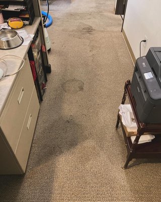 Office carpet steam cleaning in Irvine - This was our first office carpet steam cleaning. Owner was happy, results looking very good. It take us to clean it around 3hours, there was 8 small rooms. Office carpet steam cleaning in Irvine - This was our first office carpet steam cleaning. Owner was happy, results looking very good. It take us to clean it around 3hours, there was 8 small rooms.