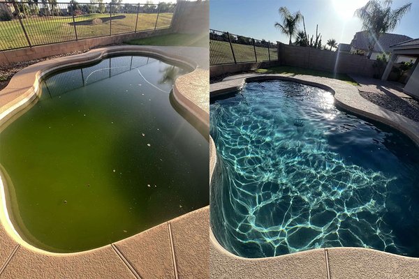 Before & After - This pool was a swamp we turned it into a dream. Before & After - This pool was a swamp we turned it into a dream.