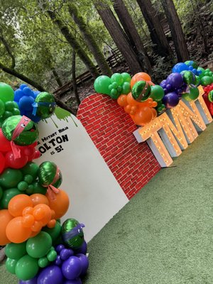 TMNT 5th Birthday Party Styling - This styling was for a 5th birthday. It was the theme Teenage Mutant Ninja Turtles (TMNT). Styling included a welcome sign, backdrop complete with 2 wood panel arches, custom vinyl decals, marquee letters and organic balloon garlands, tabletop centerpieces, and custom made party favor boxes.