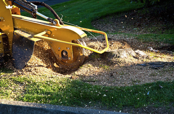 Stump Grinding & Removal - Complete stump grinding to clear space for new landscaping. Stump Grinding & Removal - Complete stump grinding to clear space for new landscaping.