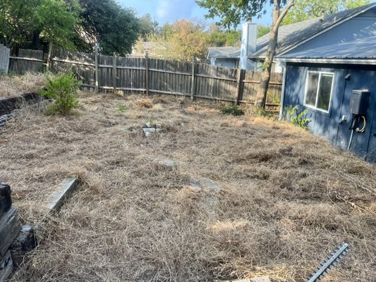 Clean up - We did a full clean up for a backyard in South Austin! Clean up - We did a full clean up for a backyard in South Austin!