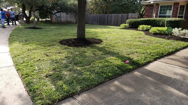 grass installation - On this job I installed new grass and new mulch to all flower beds grass installation - On this job I installed new grass and new mulch to all flower beds