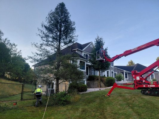 5 Star Facebook Reviews From Satisfied Customers - We are a family-owned and operated tree service located in Bedford Charter Township, Battle Creek, Michigan, specializing in tree removal, tree trimming, lot clearing, and brush hogging. 5 Star Facebook Reviews From Satisfied Customers - We are a family-owned and operated tree service located in Bedford Charter Township, Battle Creek, Michigan, specializing in tree removal, tree trimming, lot clearing, and brush hogging.