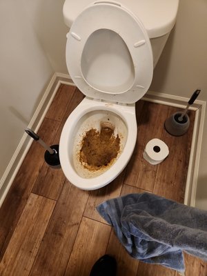 "Clogged Water Closet" - This was a home in Zionsville, Indiana that had a customer that was not feeling too well and their stomach was upset for a while. They worked with this water closet, trying to unclog it but was not successful. So they contact us, we came out, and we took care of the problem for them. "Clogged Water Closet" - This was a home in Zionsville, Indiana that had a customer that was not feeling too well and their stomach was upset for a while. They worked with this water closet, trying to unclog it but was not successful. So they contact us, we came out, and we took care of the problem for them.