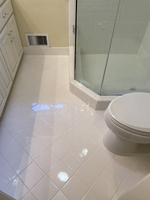 Whole Bathroom Regrout - This whole bathroom was 20+ years old, with the original grout. It was definitely time for a regrout! The end result is night and day from what it looked like before!