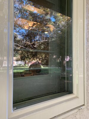 From Cobwebs to Crystal Clear - This window was covered in dust, cobwebs, and grime — but look at it now! Sparkling, streak-free, and letting the sunlight shine through again. From Cobwebs to Crystal Clear - This window was covered in dust, cobwebs, and grime — but look at it now! Sparkling, streak-free, and letting the sunlight shine through again.