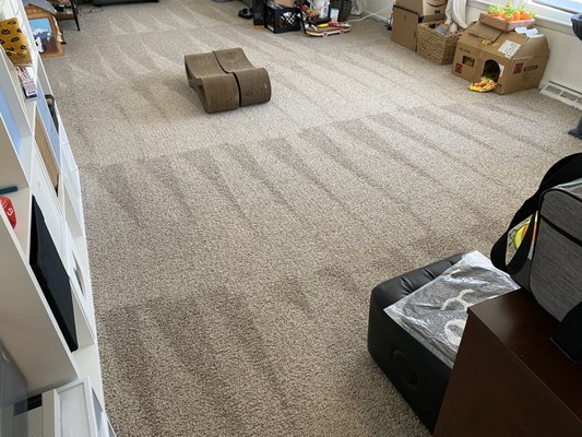 Residential Cleaning - Our home cleaning goes above and beyond. As a veteran owned business, we take great pride in integrity and high-quality results. Every clean is the best clean possible whether it's a one time clean or a recurring service. Here we can see a before and after where carpet lines are visible, dusting prevalent, and the living space a bit more orderly. As we clean, we take the time to fold blankets, put pillows back, and tidy up the space. Each stroke of the vacuum is done with purpose and attention. Every surface is hand dusted. Each home is of high value and taken care of with the upmost respect. Home Cleaning at its Finest! Residential Cleaning - Our home cleaning goes above and beyond. As a veteran owned business, we take great pride in integrity and high-quality results. Every clean is the best clean possible whether it's a one time clean or a recurring service. Here we can see a before and after where carpet lines are visible, dusting prevalent, and the living space a bit more orderly. As we clean, we take the time to fold blankets, put pillows back, and tidy up the space. Each stroke of the vacuum is done with purpose and attention. Every surface is hand dusted. Each home is of high value and taken care of with the upmost respect. Home Cleaning at its Finest!