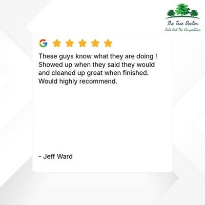 Other 5 Star Reviews from Happy Clients - The Tree Doctor offers comprehensive expert tree services to meet all your tree care needs. We specialize in expert tree removal, total land clearing of trees and brush, tree trimming for large overhanging branches to clear views, emergency tree services for unexpected fallen trees or branches, and tree health assessments to determine whether trees need to be entirely removed or have dead growth trimmed. Other 5 Star Reviews from Happy Clients - The Tree Doctor offers comprehensive expert tree services to meet all your tree care needs. We specialize in expert tree removal, total land clearing of trees and brush, tree trimming for large overhanging branches to clear views, emergency tree services for unexpected fallen trees or branches, and tree health assessments to determine whether trees need to be entirely removed or have dead growth trimmed.