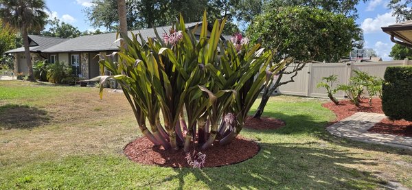 Transformation - A very beautiful job. happy client with the project Transformation - A very beautiful job. happy client with the project