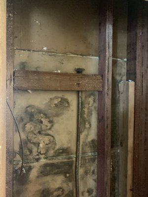 Shower Mold Removal - These home owners discovered mold and water damage behind there shower. After a quick call to us we were able to get the area contained and remediated and save them thousands of dollars by getting this covered by their insurance.