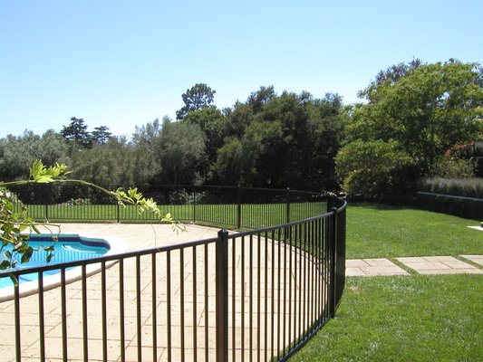 Pool Fence - Classic black, curved, ornamental iron pool fence.