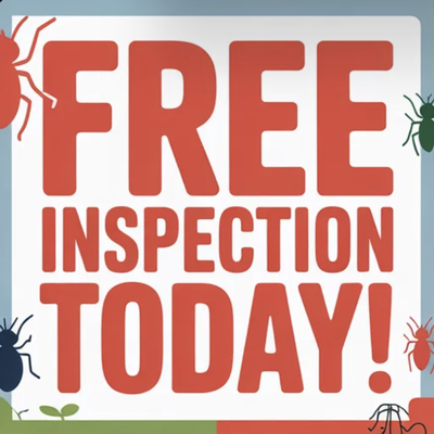 Alger Heights Pest Control | Pest inspection - Pest inspection experts | Grand Rapids, MI Alger Heights Pest Control | Pest inspection - Pest inspection experts | Grand Rapids, MI