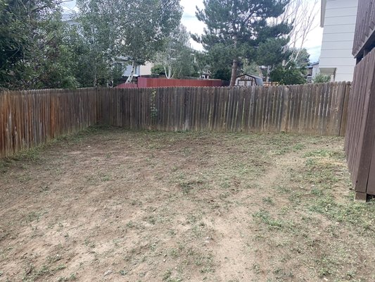 Backyard cleanup, customer wants to redo the backyard. Needed a ‘clean’ canvass - The weeds were overwhelming and way too high. We came in and chopped them down. Sprayed our own secret blend of weed killer. After that we took some photos to share while we give this backyard an overhaul.