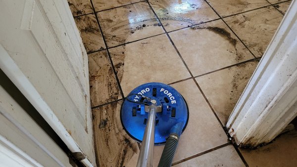 Extreme Tile Cleaning for Vacant House - Squatters made this property absolutely filthy and almost unbearable to walk into. We were asked to clean the tile to make the property more tolerable for renovations and also to make it more presentable. While far from being perfectly new, the difference was night and day. The cleaning involved sweeping up debris, scrubbing, and scrapping in some areas, as well as restorative cleaning methods. Extreme Tile Cleaning for Vacant House - Squatters made this property absolutely filthy and almost unbearable to walk into. We were asked to clean the tile to make the property more tolerable for renovations and also to make it more presentable. While far from being perfectly new, the difference was night and day. The cleaning involved sweeping up debris, scrubbing, and scrapping in some areas, as well as restorative cleaning methods.