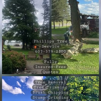 Professional Tree Trimming & Pruning - Healthy trees are our passion. Our owner is an experienced arborist, guiding every trimming and pruning service to enhance your trees’ appearance, promote better growth, and prevent storm damage. We believe in a detailed, thoughtful approach to every job, keeping your trees healthy and your property looking its best year round. Professional Tree Trimming & Pruning - Healthy trees are our passion. Our owner is an experienced arborist, guiding every trimming and pruning service to enhance your trees’ appearance, promote better growth, and prevent storm damage. We believe in a detailed, thoughtful approach to every job, keeping your trees healthy and your property looking its best year round.