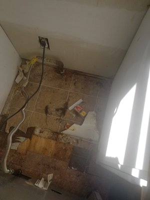 Mice Trapping - Customer was having a mouse Issue in kitchen Mice Trapping - Customer was having a mouse Issue in kitchen