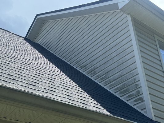 Soft washed vinyl. - We cleaned up the organic growth and got that shine back!