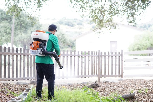 Mosquito Control - Glendora - Natural mosquito control for a Glendora School. Using 100% plant-based pest control, we eliminated this schools mosquito problem without synthetic chemicals. Our non-toxic treatments use essential oils that are safe for children and pets immediately after application. Bi-weekly service keeps their outdoor space mosquito-free all season. Serving Glendora and San Gabriel Valley with natural pest prevention.