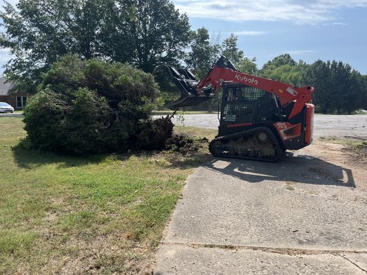 Land clearing and mulching services - We can take care of any of your land clearing or mulching needs. Large tree of stump removal, there is no job to big or small
