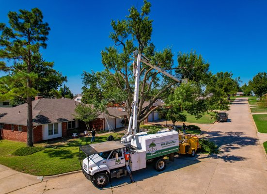 Residential Tree Service - For more than 18 years we’ve helped thousands of families maintain and remove their trees, and we can do it for you too!
Tree Service can be stressful for a homeowner. As a locally owned and operated professional tree service company, we’re licensed, insured, and ready with the expertise and equipment to trim or remove your trees safely.
Does your tree have overgrown limbs or dead branches? For safety and esthetic reasons, it’s important to have these unsightly or lost branches trimmed in order to stay healthy and grow in proper form. Your trees will look beautiful year after year with regular maintenance.
If your tree is dead or dying, it is time to have it cut down. Not only is a dead or dying tree unsightly, it can also cause irreparable damage to your property and power lines if lighting strikes or heavy winds are on forecast. Whether you need help with tree trimming or pruning, or tree and/or stump removal, Salas Tree Service will get the job done safely and professionally before any damage is done to your property.
Onsite quotes are always free! Booking one is the best way to see if we're right for you. Residential Tree Service - For more than 18 years we’ve helped thousands of families maintain and remove their trees, and we can do it for you too!
Tree Service can be stressful for a homeowner. As a locally owned and operated professional tree service company, we’re licensed, insured, and ready with the expertise and equipment to trim or remove your trees safely.
Does your tree have overgrown limbs or dead branches? For safety and esthetic reasons, it’s important to have these unsightly or lost branches trimmed in order to stay healthy and grow in proper form. Your trees will look beautiful year after year with regular maintenance.
If your tree is dead or dying, it is time to have it cut down. Not only is a dead or dying tree unsightly, it can also cause irreparable damage to your property and power lines if lighting strikes or heavy winds are on forecast. Whether you need help with tree trimming or pruning, or tree and/or stump removal, Salas Tree Service will get the job done safely and professionally before any damage is done to your property.
Onsite quotes are always free! Booking one is the best way to see if we're right for you.