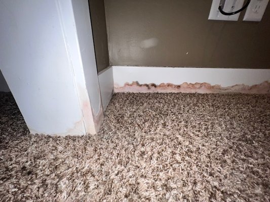 Recent Mold Job - This was a mold job we recently finished. This was mitigation only. The owners wanted to do the reconstruction themselves. The mold damage came from water getting in through the basement bedroom window and from neglect. The mold in this room was extremely potent and rampant. Recent Mold Job - This was a mold job we recently finished. This was mitigation only. The owners wanted to do the reconstruction themselves. The mold damage came from water getting in through the basement bedroom window and from neglect. The mold in this room was extremely potent and rampant.
