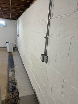 mold remediation - French drain and mold remediation mold remediation - French drain and mold remediation