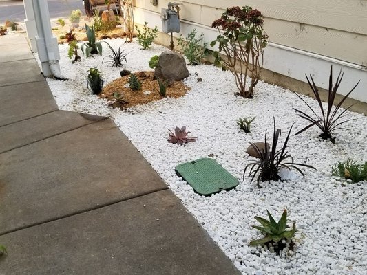 Rock Garden - Being eco-friendly can be accomplished in an environment. Showcased in this portfolio are drought tolerant plants with low maintenance rock landscapes to reduce water consumption and keep with the beautiful desert landscape motif. Rock Garden - Being eco-friendly can be accomplished in an environment. Showcased in this portfolio are drought tolerant plants with low maintenance rock landscapes to reduce water consumption and keep with the beautiful desert landscape motif.