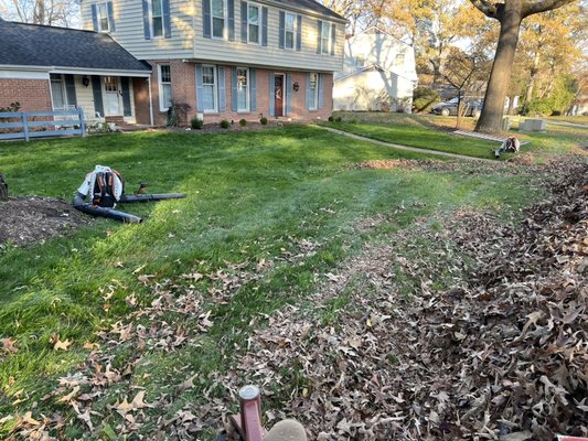 Fall Cleanup - Yard Cleanup - fall and debris cleanup Fall Cleanup - Yard Cleanup - fall and debris cleanup