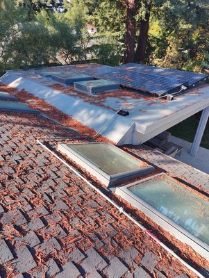 skylight and roof cleaning service - skylight cleaning service and roof cleaning to prevent roof damage and gutter clogged